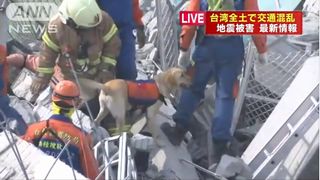 【台湾南部地震】募金詐欺注意、「募金は日本赤十字社へ」と呼びかけ=東日本大震災の「恩返し」