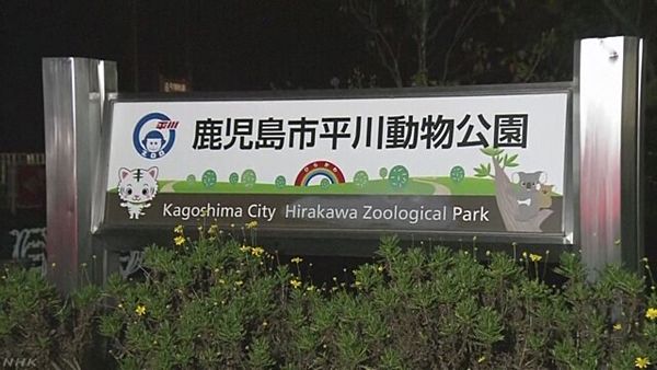 【鹿児島】平川動物公園、ホワイトタイガーに襲われた飼育員死亡
