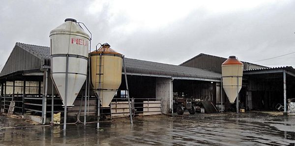 【徳島吉野川】和牛受精卵流出 「松平牧場」経営者逮捕=中国へ4回不正輸出