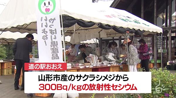 【山形 道の駅】野生キノコ「サクラシメジ」 基準値3倍超え放射性セシウム=自主回収