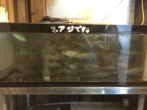 2015-12-30-14-31-02