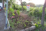 0e2893b9.jpg