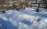 武佐の森2