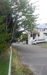 43936e15.jpg