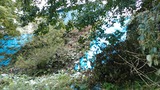 504018d9.jpg