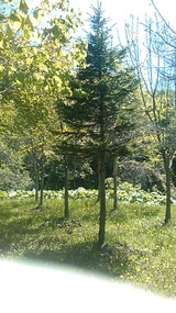 5195b037.jpg