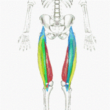 54ca0fdd.gif
