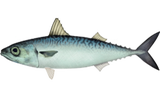 62f09298.png