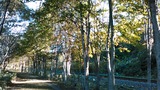 7b687bb5.jpg