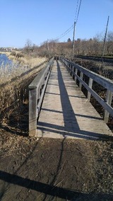 9830b071.jpg