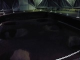 9f695b30.jpg