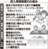 c37ff252.jpg