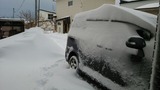 d98918e0.jpg
