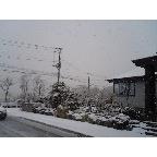 f53072c4.jpg
