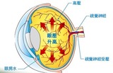 fe8842b0.jpg