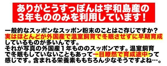 suppon2