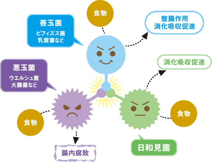 bifi_inner01_img01