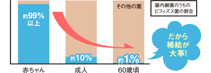 bifi_inner03_img03