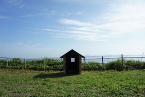 sDSC06090