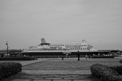 sDSC04981