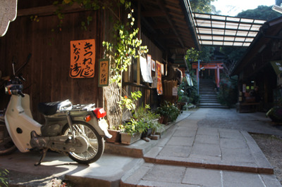 sDSC00248