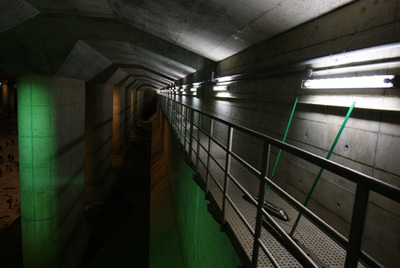 sDSC06534