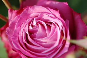 sDSC_3965