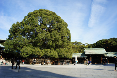 sDSC00001