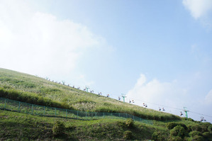 sDSC07301