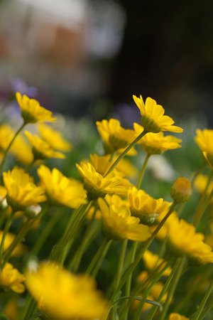 sDSC_4015