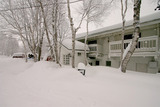 雪景色2012/1