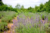 ��٥����2011_722_02