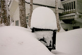 8d0a8377.jpg