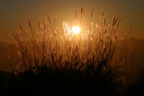 b371f8c8.jpg