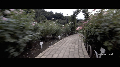QuickTime Player003
