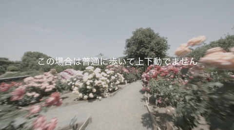 QuickTime Player001