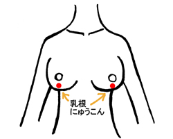 バストアップ ツボ 乳根 にゅうこん