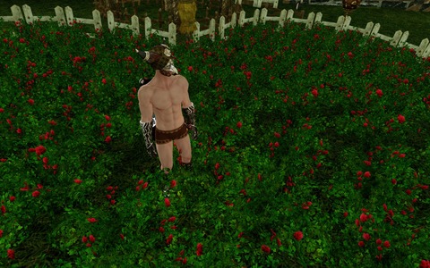 ScreenShot0100