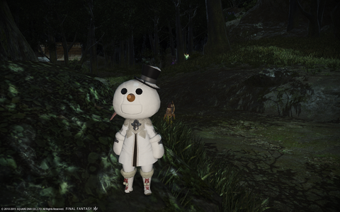 ffxiv_20150311_001936