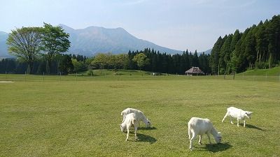 20180429_151443
