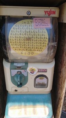20180429_121346
