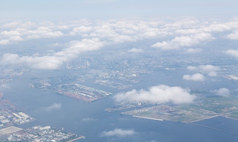 豊洲市場