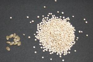 キヌア:玄米に混ぜる雑穀