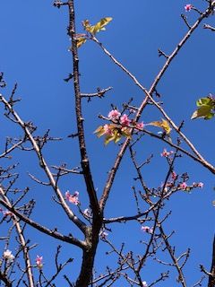 IMG_9104