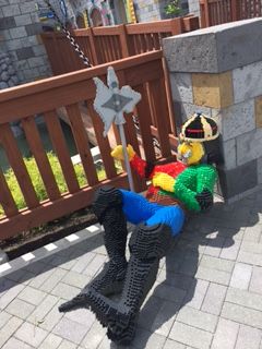 IMG_2882