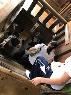 IMG_0754