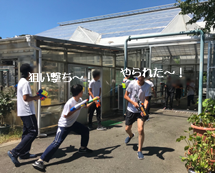 S_8346277429794