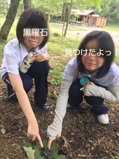 S_8357311716644