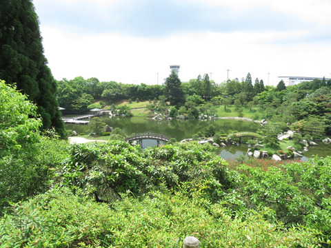 5月26日 三景園 (6)