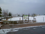 P1000538